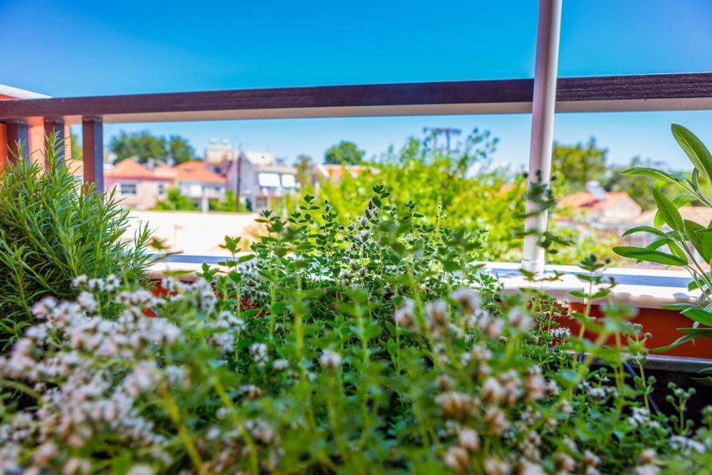 Koukounari Living Spaces Preveza Eksteriør bilde